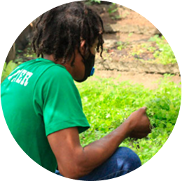 Sustentabilidade